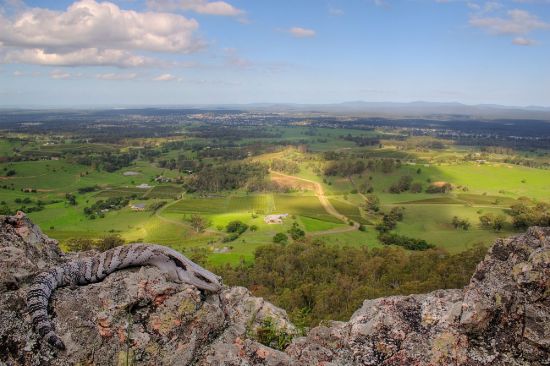 STERNBECKS - Cessnock - Real Estate Agency