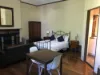 1/223b Bridge Road, Glebe, NSW 2037-Image
