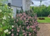1/239 Gladstone St, Mudgee, NSW 2850-Image