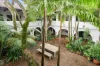 1/8 Phillip Street, Redfern, NSW 2016-Image