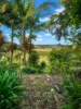 1041 Bangalow Road, Bexhill, NSW 2480-Image