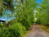 1041 Bangalow Road, Bexhill, NSW 2480-Image