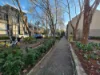 109/1-9 Meagher Street, Chippendale NSW 2008-Image