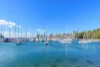 12/70-70A Bayswater Road, Rushcutters Bay, NSW 2011-Image