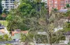 12/8 Macleay Street, Potts Point, NSW 2011-Image