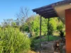 1201 Main Arm Road, Upper Main Arm, NSW 2482-Image