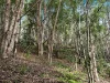 1201 Main Arm Road, Upper Main Arm, NSW 2482-Image