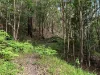 1201 Main Arm Road, Upper Main Arm, NSW 2482-Image