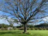 121 Candoomakh Creek Road, Nabiac, NSW 2312-Image