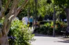 14/66 Bayswater Road, Rushcutters Bay, NSW 2011-Image
