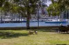 14/66 Bayswater Road, Rushcutters Bay, NSW 2011-Image