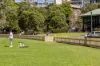 14/66 Bayswater Road, Rushcutters Bay, NSW 2011-Image