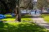 14/66 Bayswater Road, Rushcutters Bay, NSW 2011-Image