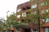 17/10A Challis Avenue, Potts Point, NSW 2011-Image