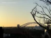 17/9-11 St Neot Avenue, Potts Point, NSW 2011-Image