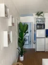 2/19 Limpet Avenue, Port Douglas, Qld 4877-Image