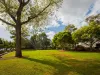 2/325 Abercrombie Street, Darlington NSW 2008-Image