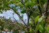 21/10 Challis Avenue, Potts Point, NSW 2011-Image