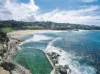 21/38 MacPherson Street, Bronte, NSW 2024-Image