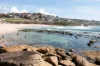 21/38 MacPherson Street, Bronte, NSW 2024-Image