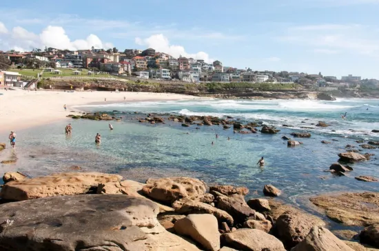 21/38 MacPherson Street, Bronte, NSW 2024-Image