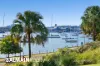 210/11 Warayama Place, Rozelle, NSW 2039-Image