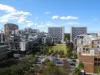 242B/806 Bourke Street, Waterloo, NSW 2017-Image