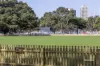 3/4 Waratah Street, Rushcutters Bay, NSW 2011-Image