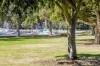 3/4 Waratah Street, Rushcutters Bay, NSW 2011-Image