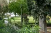 3/4 Waratah Street, Rushcutters Bay, NSW 2011-Image