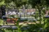 3/4 Waratah Street, Rushcutters Bay, NSW 2011-Image