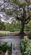 3/40 The Avenue, Randwick NSW 2031-Image