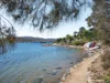 3 Boatshed Cornelian Bay, New Town, Tas 7008-Image