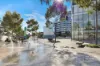 301/6 Ebsworth Street, Zetland, NSW 2017-Image
