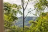 323 Palmwoods Mooloolah Road, Eudlo QLD 4554-Image