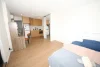 378 Liverpool Road, Ashfield, NSW 2131-Image