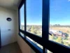 427/1C Lemon Tree, Melrose Park NSW 2114-Image