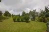4809 Palmerston Hwy, Millaa Millaa, Qld 4886-Image