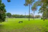 5/121-123 New Canterbury Road, Petersham, NSW 2049-Image