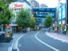 5 /55 Ebley St., Bondi Junction, NSW 2022-Image