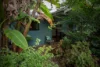 557B Tuntable Falls Road, Nimbin, NSW 2480-Image
