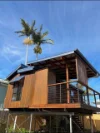 58 Hollingsworth Lane, Mullumbimby NSW 2482-Image