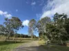 5C Mitchell Avenue, Craignish, Qld 4655-Image