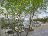 6/57 Cowper Wharf Road, Woolloomooloo, NSW 2011-Image