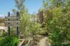 920/22 Doris Street, North Sydney, NSW 2060-Image