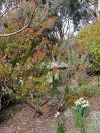 97a Old Station Road, Coningham, Tas 7054-Image