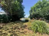Address available on request, Trinity Park, Qld 4879-Image