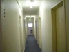 Apartment 16/60 Harriet Street, Waratah, NSW 2298-Image