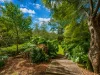 Terrace 4/79 Kings Road, Cooranbong NSW 2265-Image