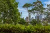 1/48 Victoria Street, Potts Point, NSW 2011-Image